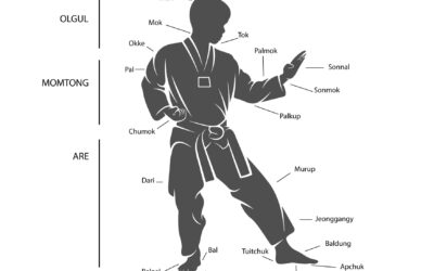 Vocabulario Básico Taekwondo